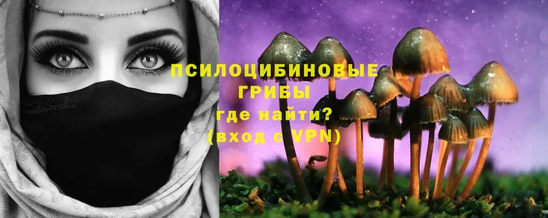 Галлюциногенные грибы Magic Shrooms Змеиногорск